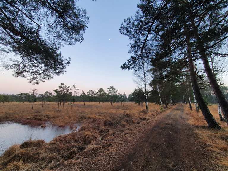 Dubringer Moor Zelders Teiche Runde von Michalken Michałki