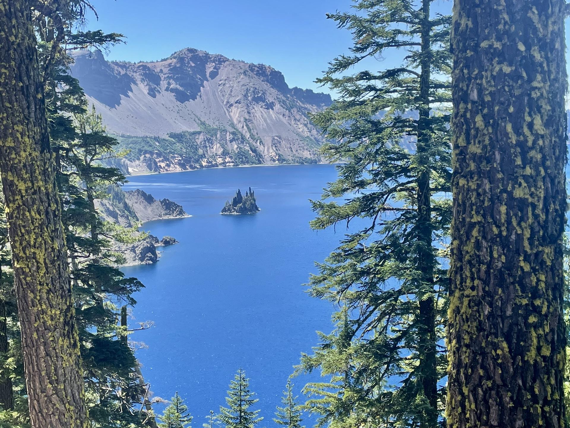 Bright blue lake with an island, seen through green pine trees.