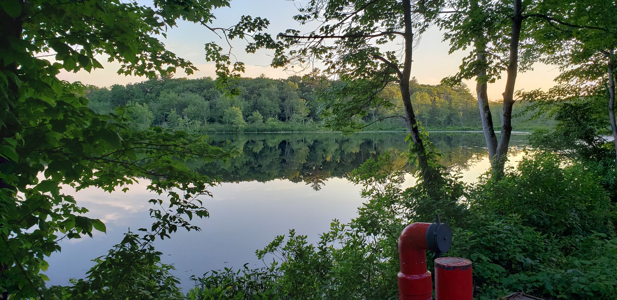 Calm lake reflecting forested shoreline under soft light, framed by green trees. - Boxford State Forest Running Loop