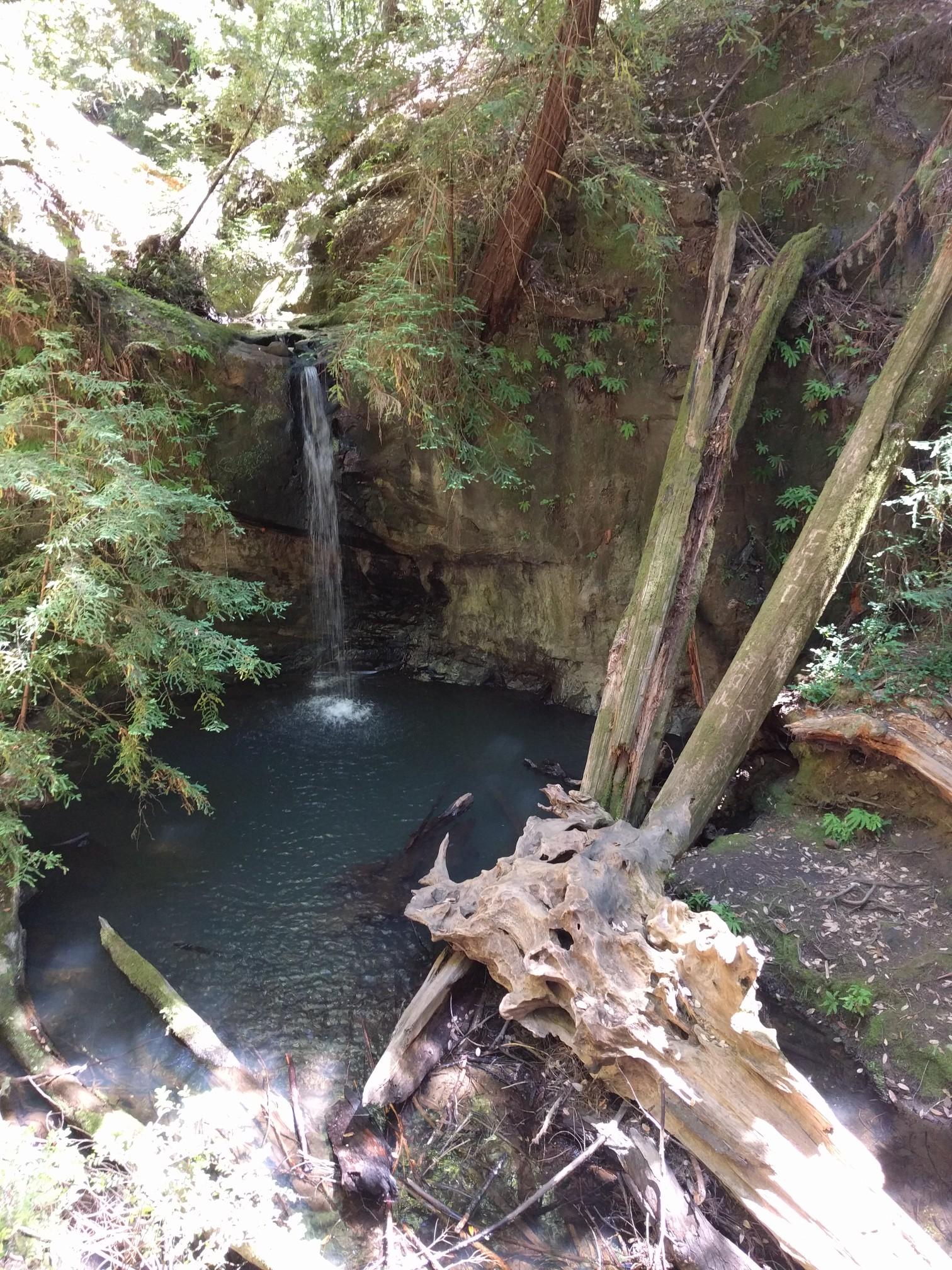Waterfall cascades into a clear pool, surrounded by lush forest and fallen logs.