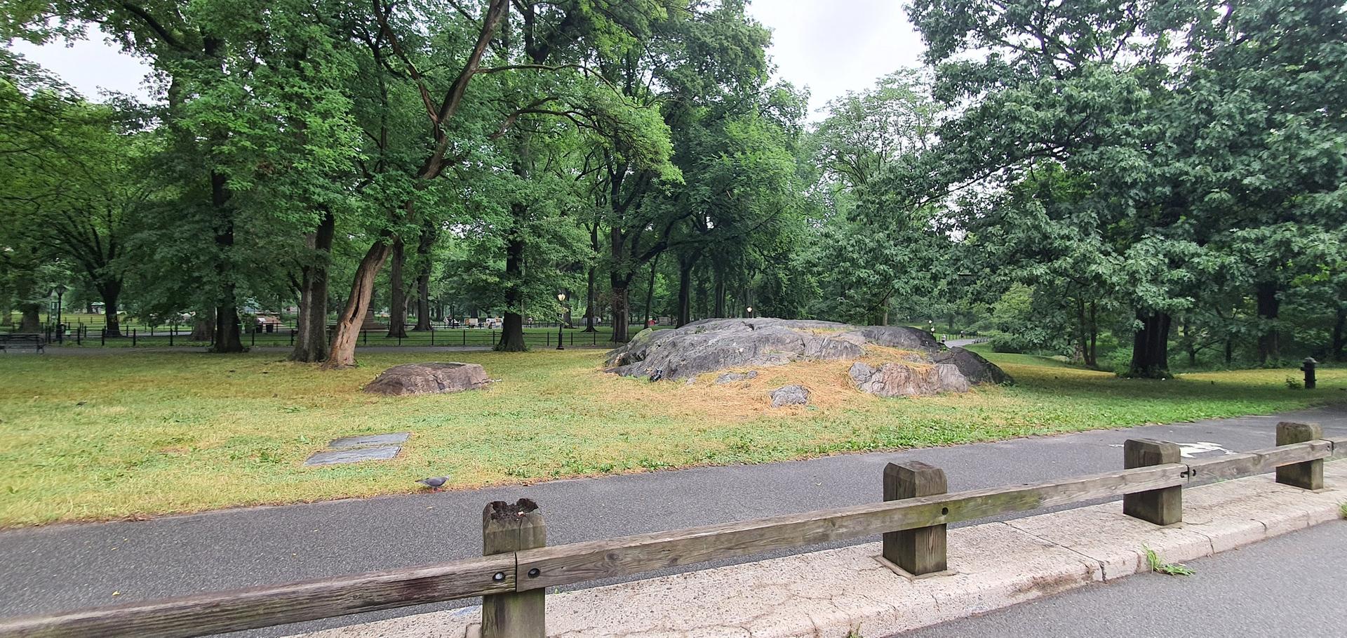 Park path next to grassy area with large rock, surrounded by green trees.