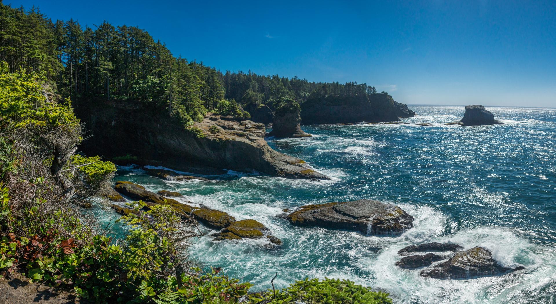Rugged coastline with crashing waves, sea stacks, and lush trees under blue sky.