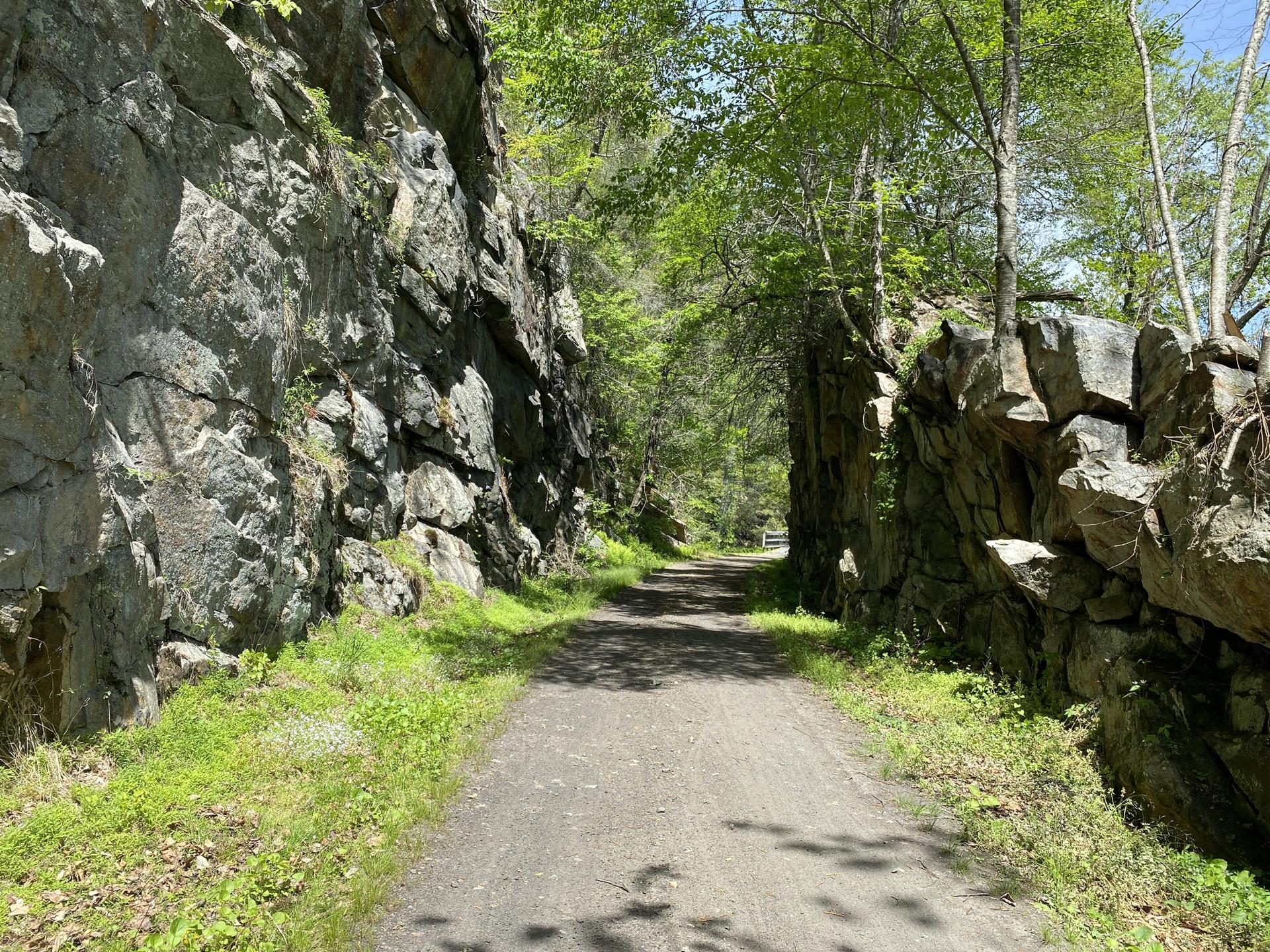 Shaded dirt path between two tall rock walls in a sunny forest.