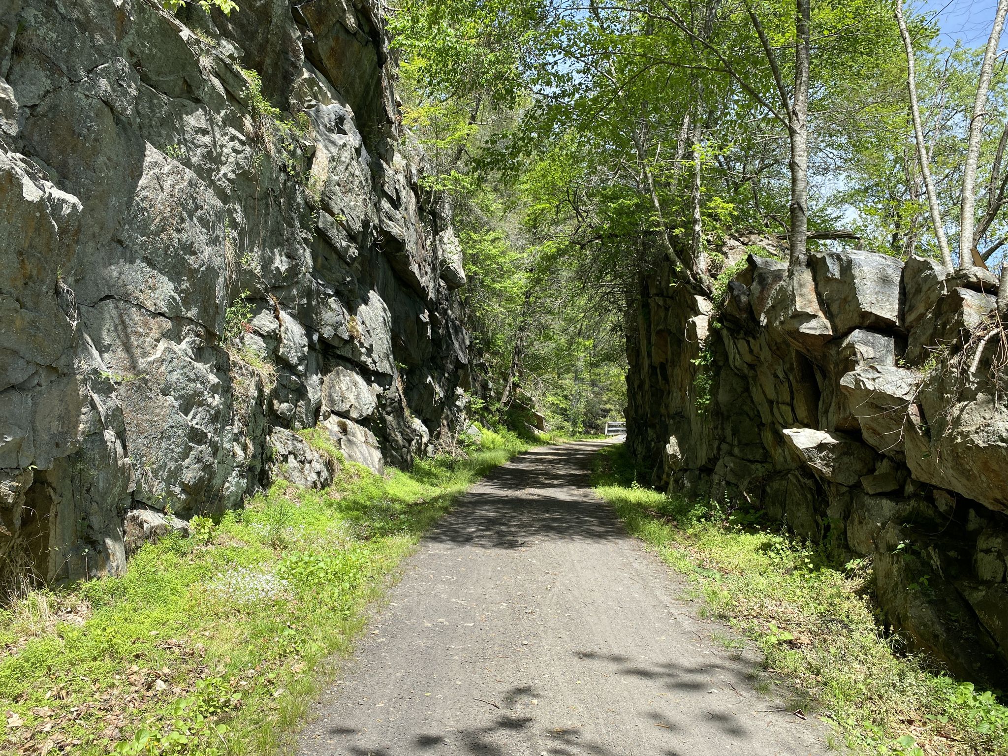 Shaded dirt path between two tall rock walls in a sunny forest. - New River Trail loop from Cliffview