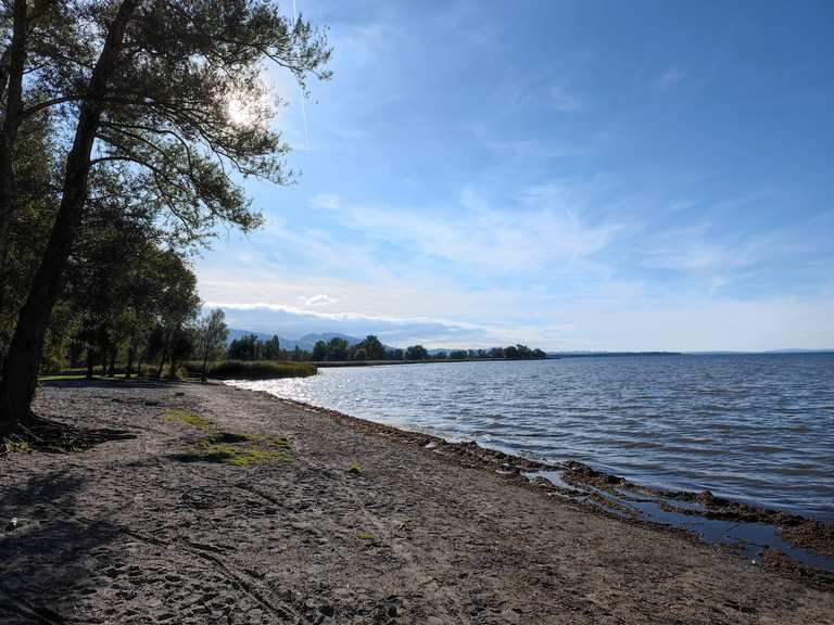 Rohrspitz Bodensee Wanderungen und Rundwege komoot