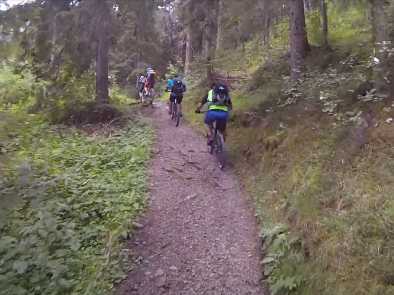 Biberwier Trails 1 (AUT) Mountain Bike Trails & Tracks Komoot