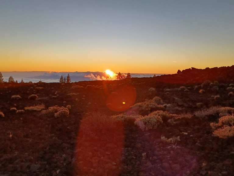 Mirador de las Narices del Teide Routes for Walking and Hiking Komoot