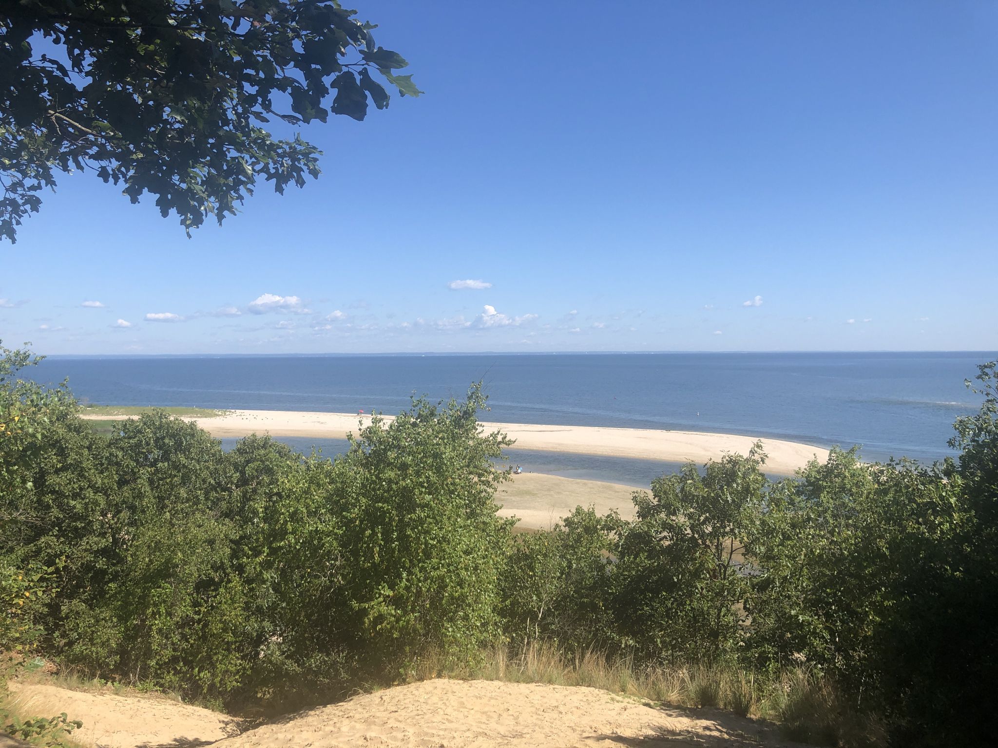 View from a wooded hill overlooking a sandy beach and blue ocean. - Long Island Greenbelt Trail Loop via Old Dock Rd