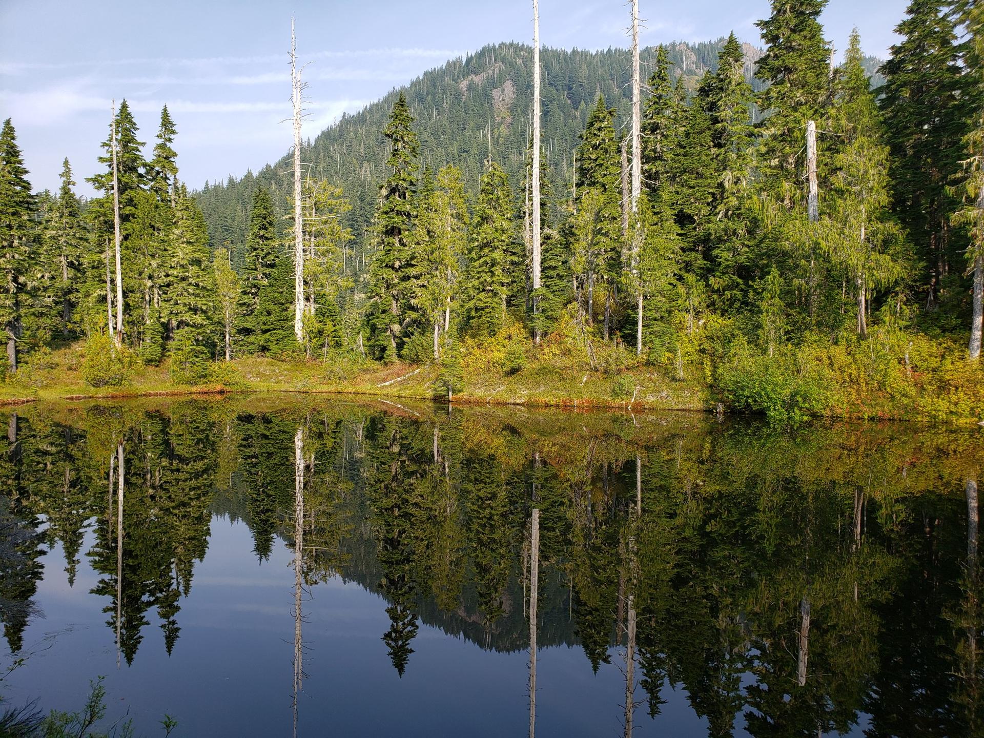 A calm lake perfectly reflects a dense forest and mountain.