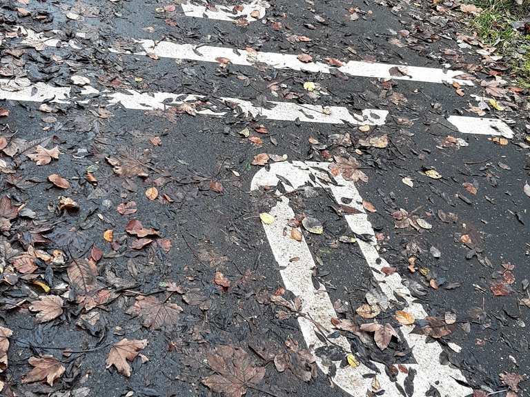 Deutsch-belgische Grenze : Radtouren und Radwege | komoot