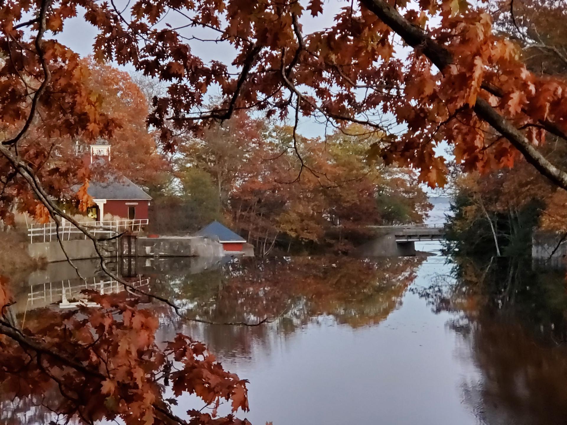 Red boathouse by calm water, surrounded by vibrant autumn trees under soft light.