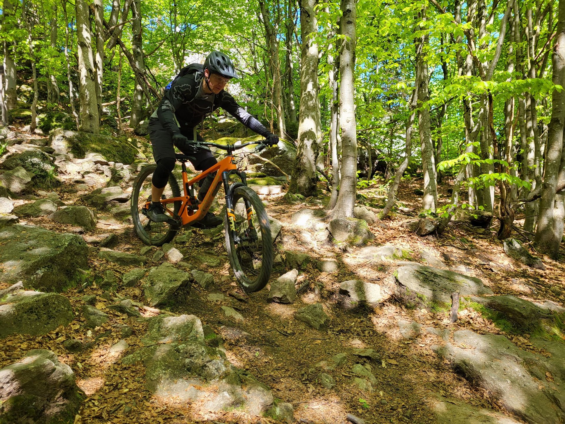 terra fox mountainbike Orbea H45 1X black club: FC Bucks 2025-2026 Modell:Triangle Knox - Brandclub -