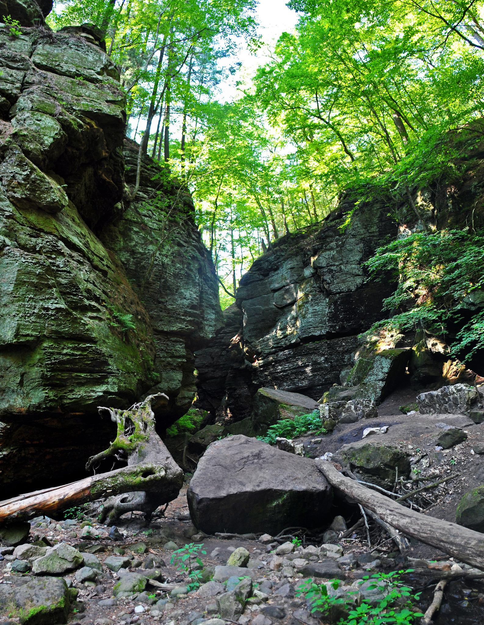 A deep, rocky gorge with lush green trees and large boulders on the ground.