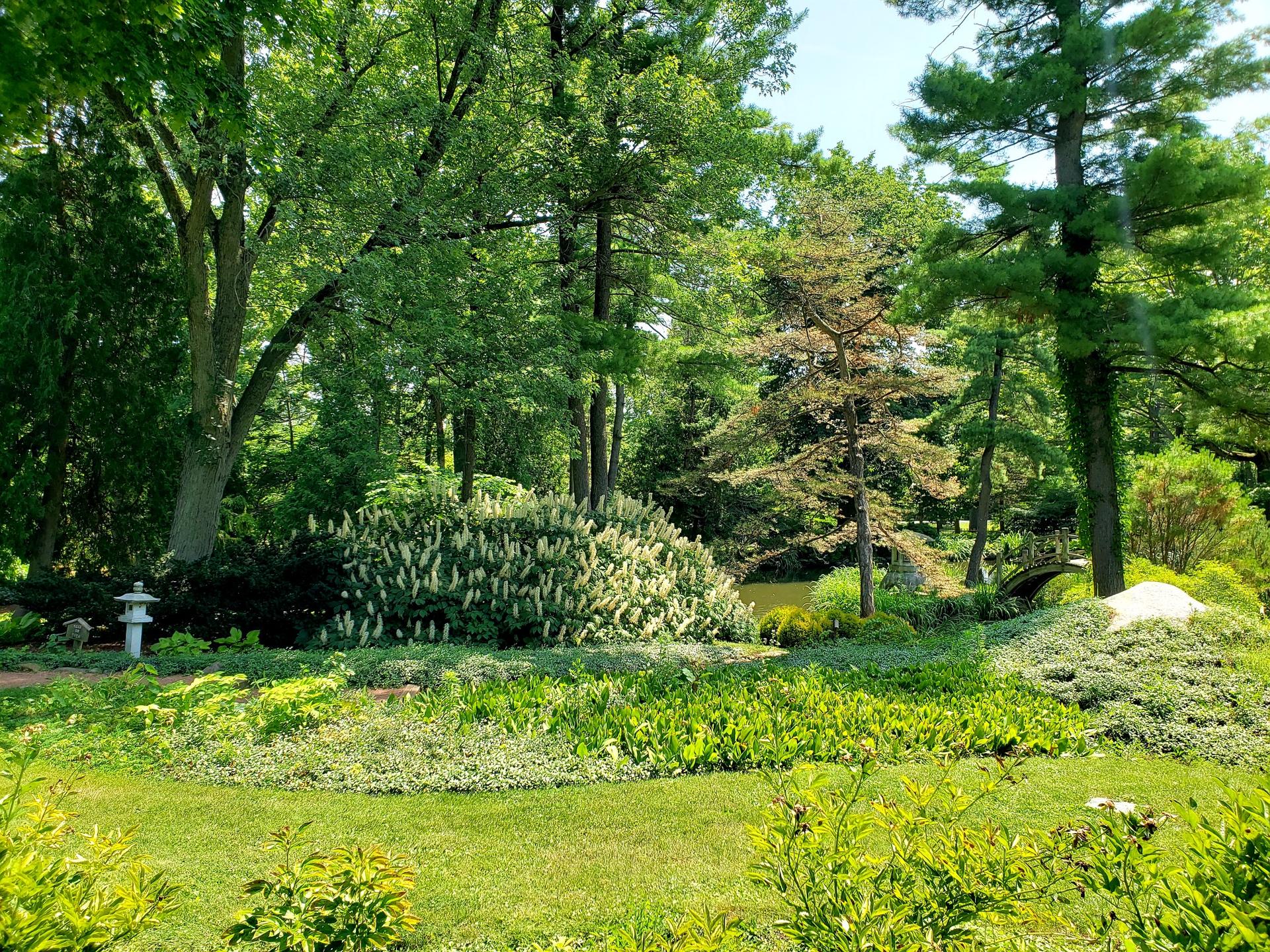 Lush green garden with trees, shrubs, and a small white lantern.