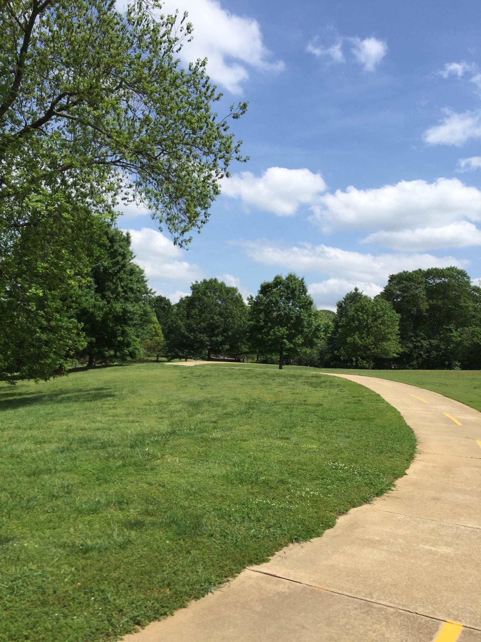 Winding paved path through a vibrant green park on a sunny day.