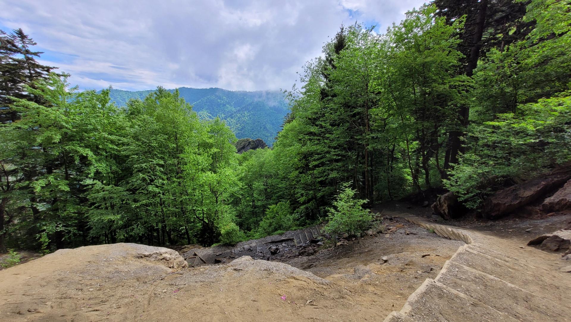 Dirt path descends into a lush green forest with distant misty mountains.