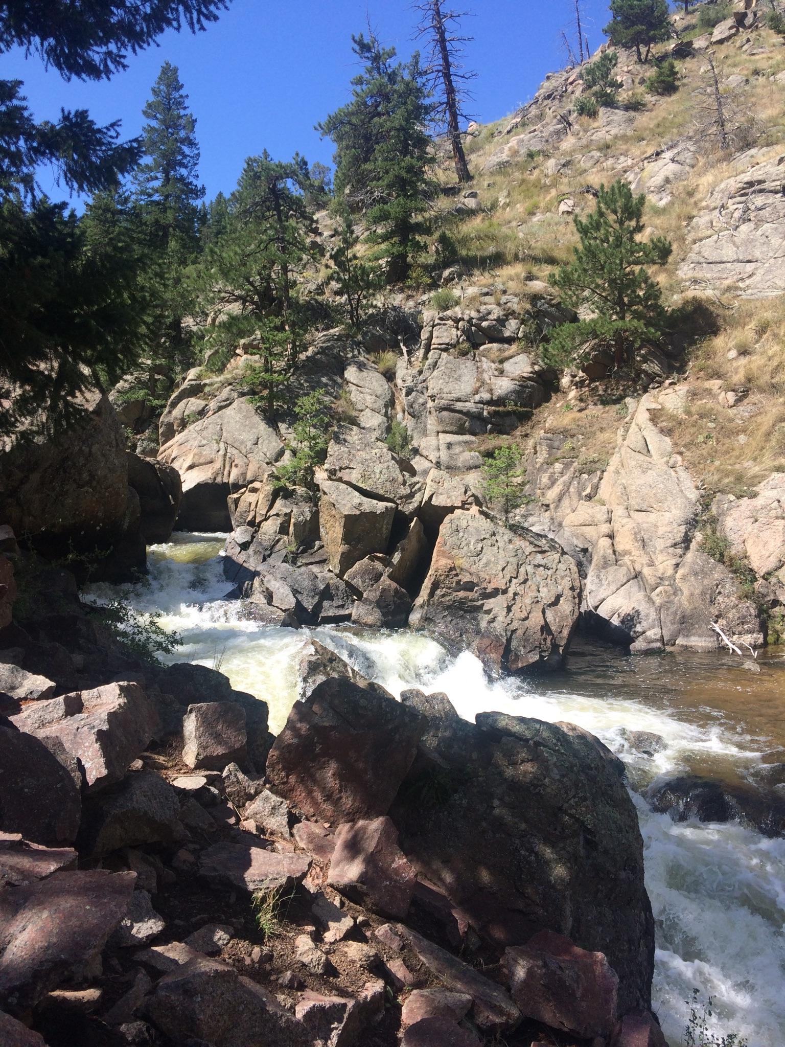 Rushing river flows through a rocky canyon with pine trees under bright sun.