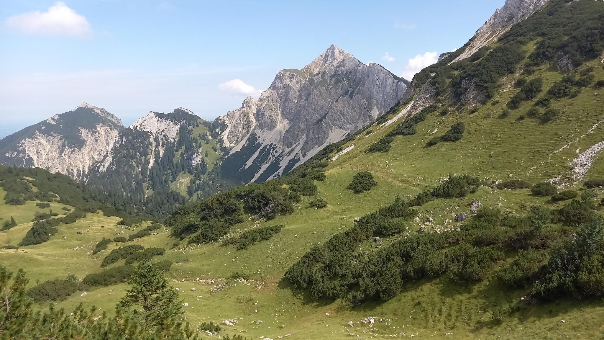 Panoramaweg: Wanderungen Und Rundwege | Komoot