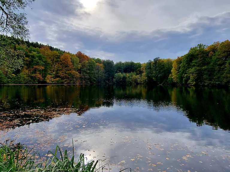 Reinhardsbrunner Teiche MountainbikeTouren und Trails komoot