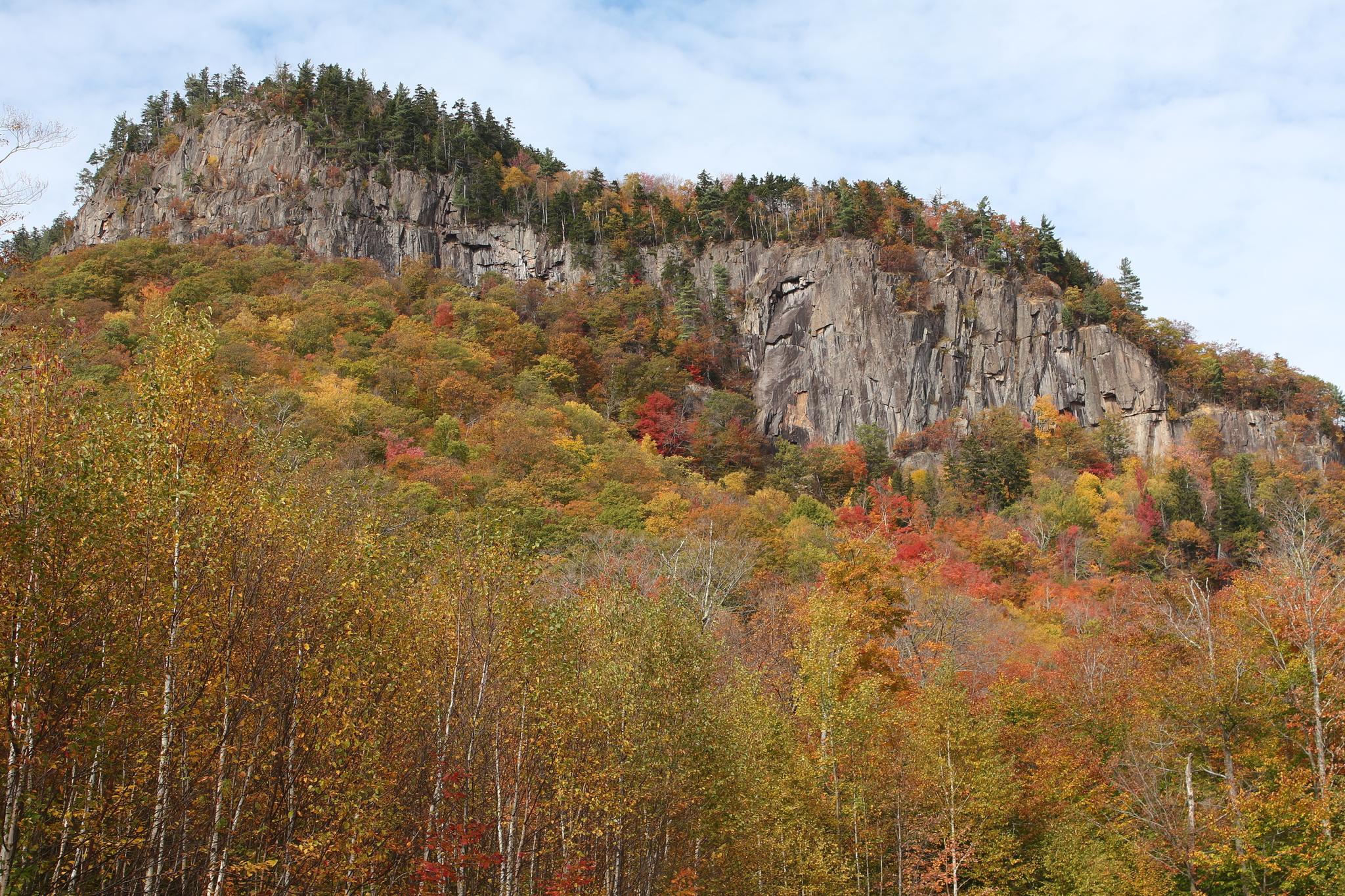 Majestic rocky cliff overlooking a vibrant forest of autumn trees.