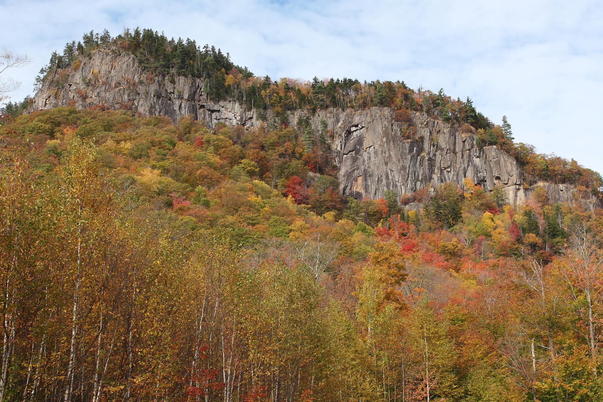 Majestic rocky cliff overlooking a vibrant forest of autumn trees.
