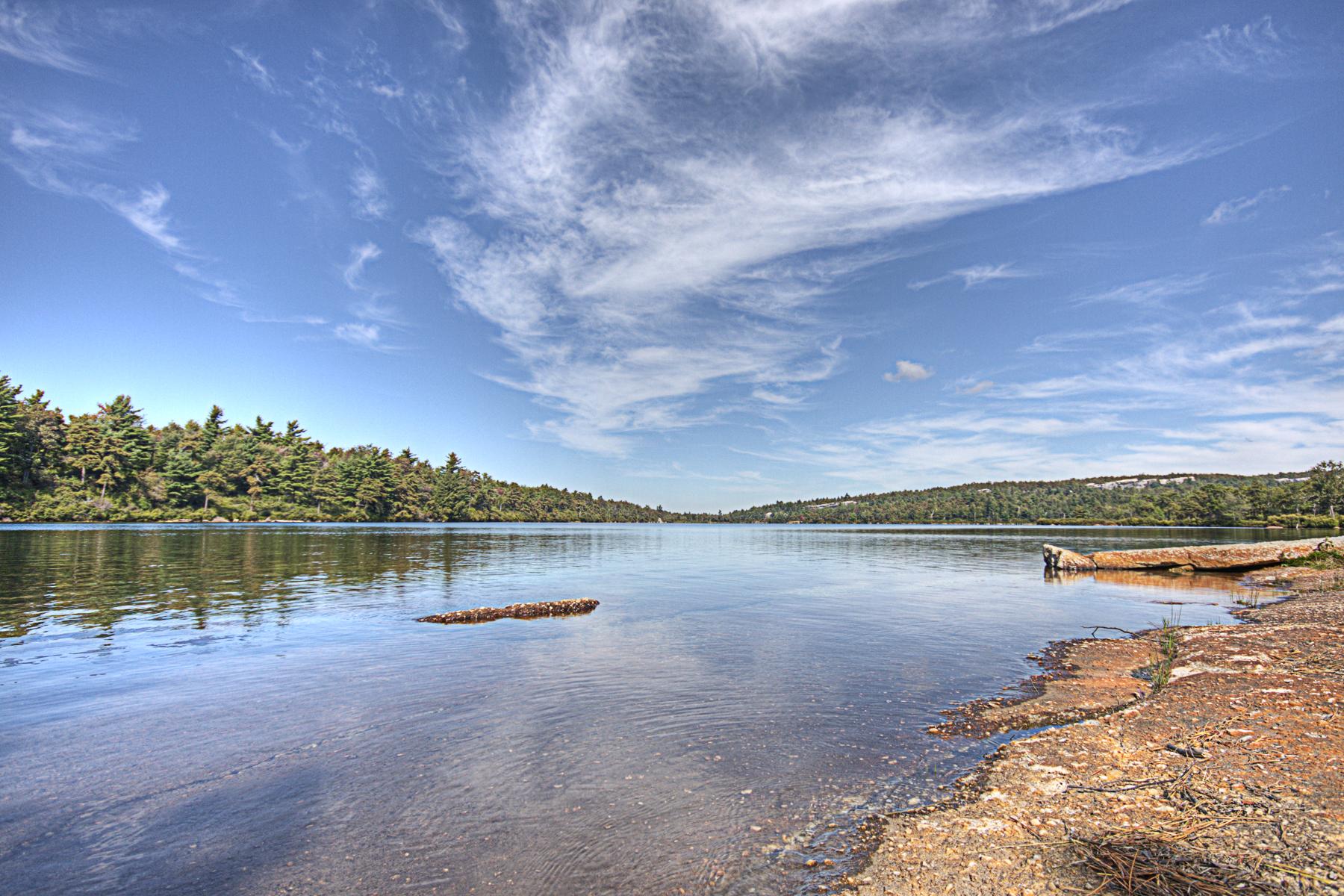 Serene lake with forested shores under a bright blue sky with wispy clouds.