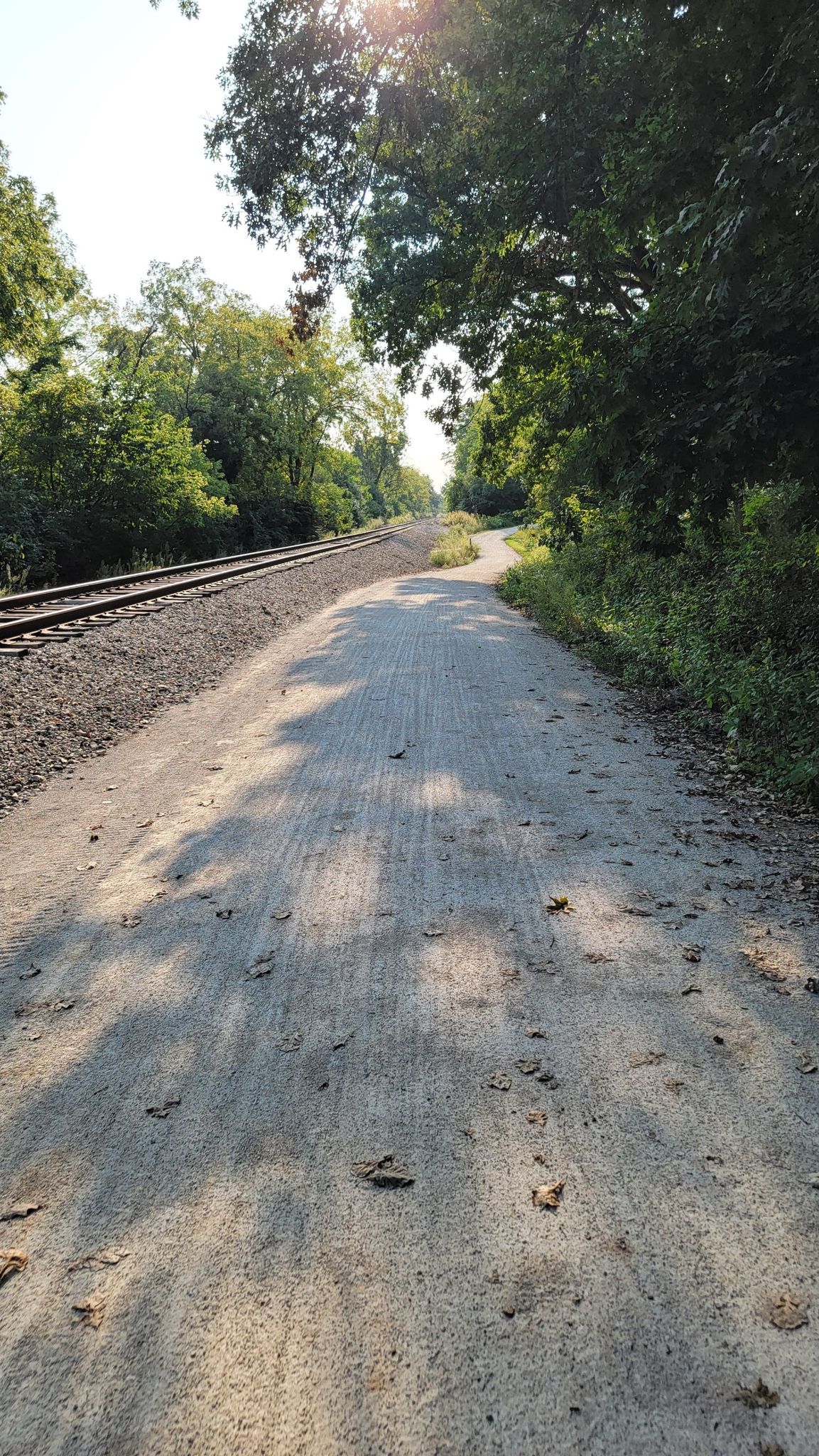 Dirt path next to railroad tracks, bordered by green trees in sunlight. - Waterfall Glen Main Trail