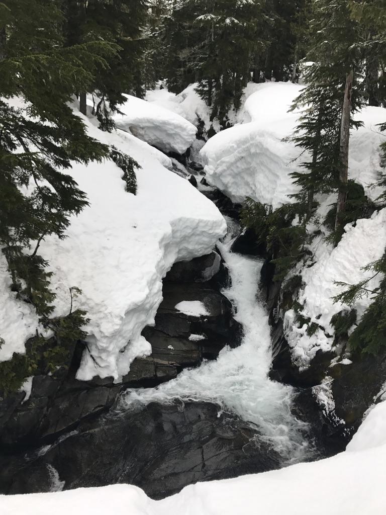 A rushing stream flows through a snowy, rocky gorge surrounded by evergreen trees.