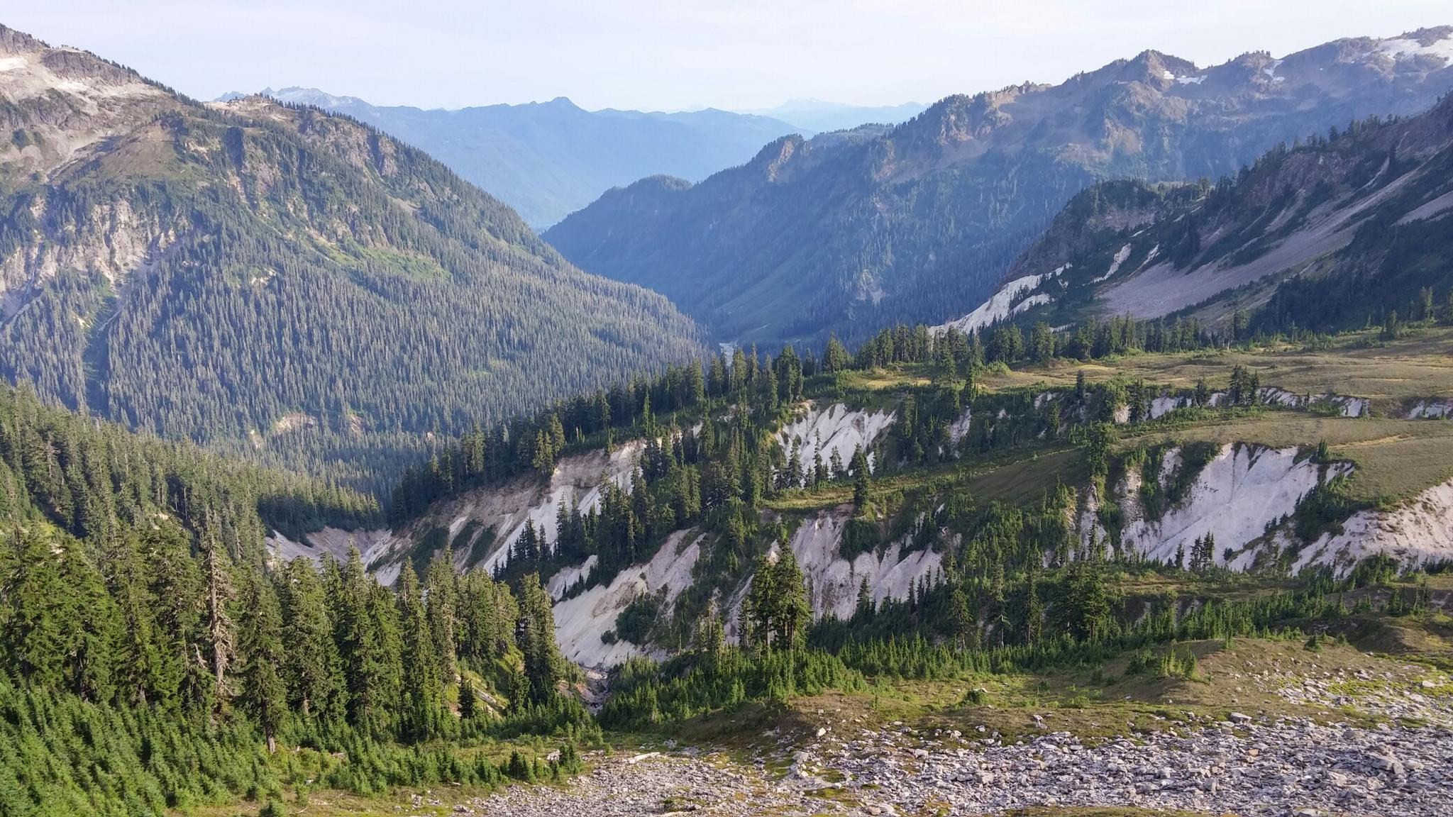 Expansive mountain valley with dense evergreen forests and rocky, white slopes.