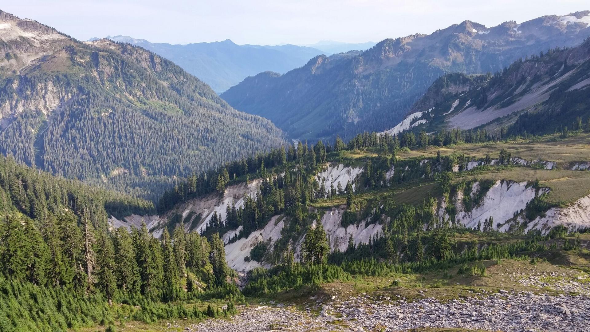 Expansive mountain valley with dense evergreen forests and rocky, white slopes.