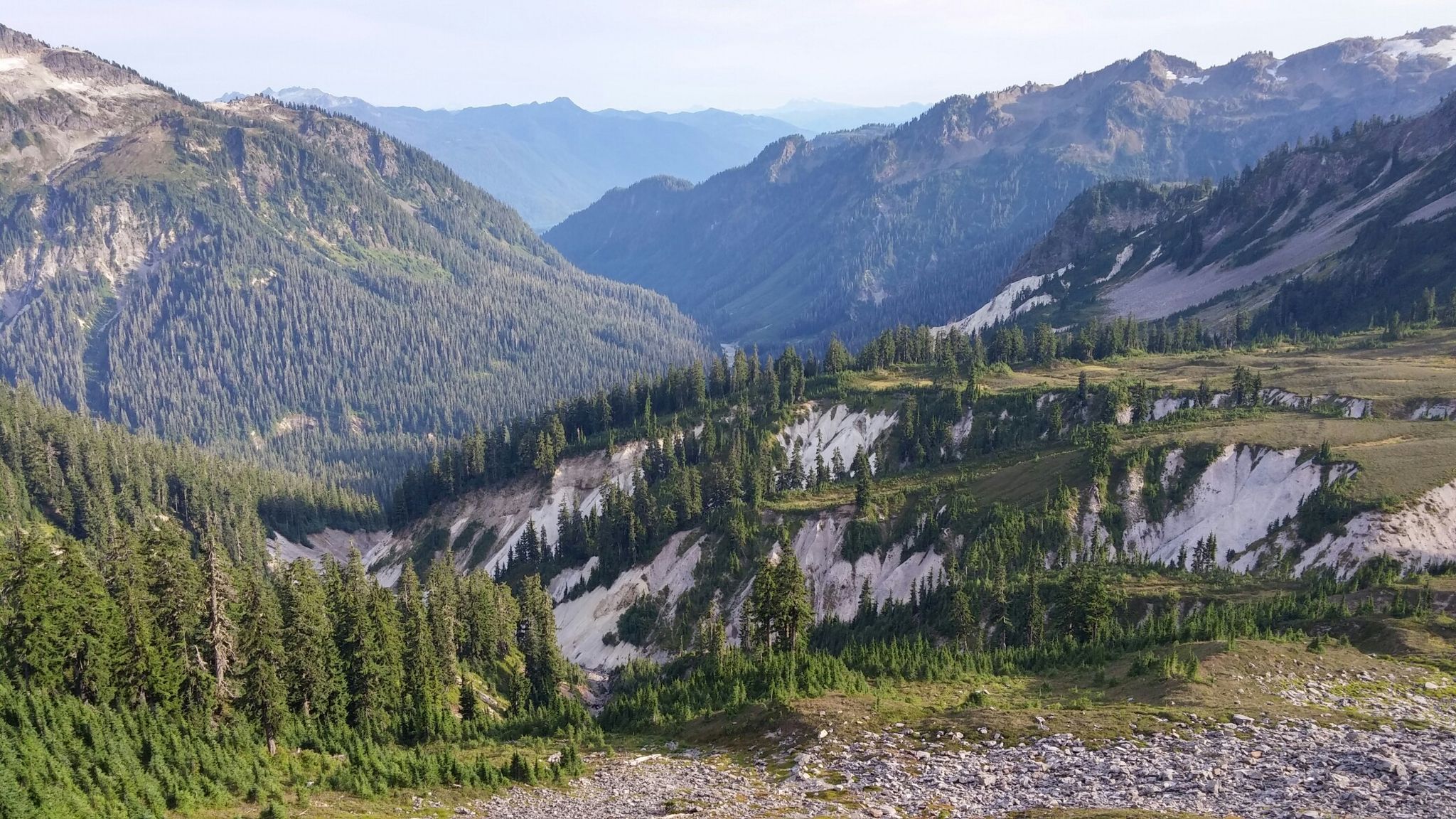Expansive mountain valley with dense evergreen forests and rocky, white slopes. - Artist Ridge Trail