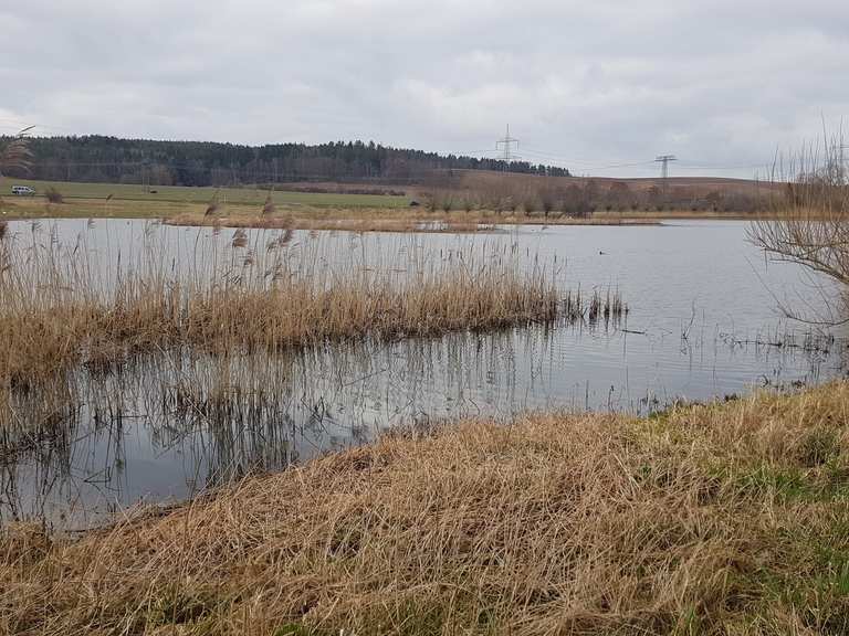 Am Frießnitzer See Wanderungen und Rundwege komoot