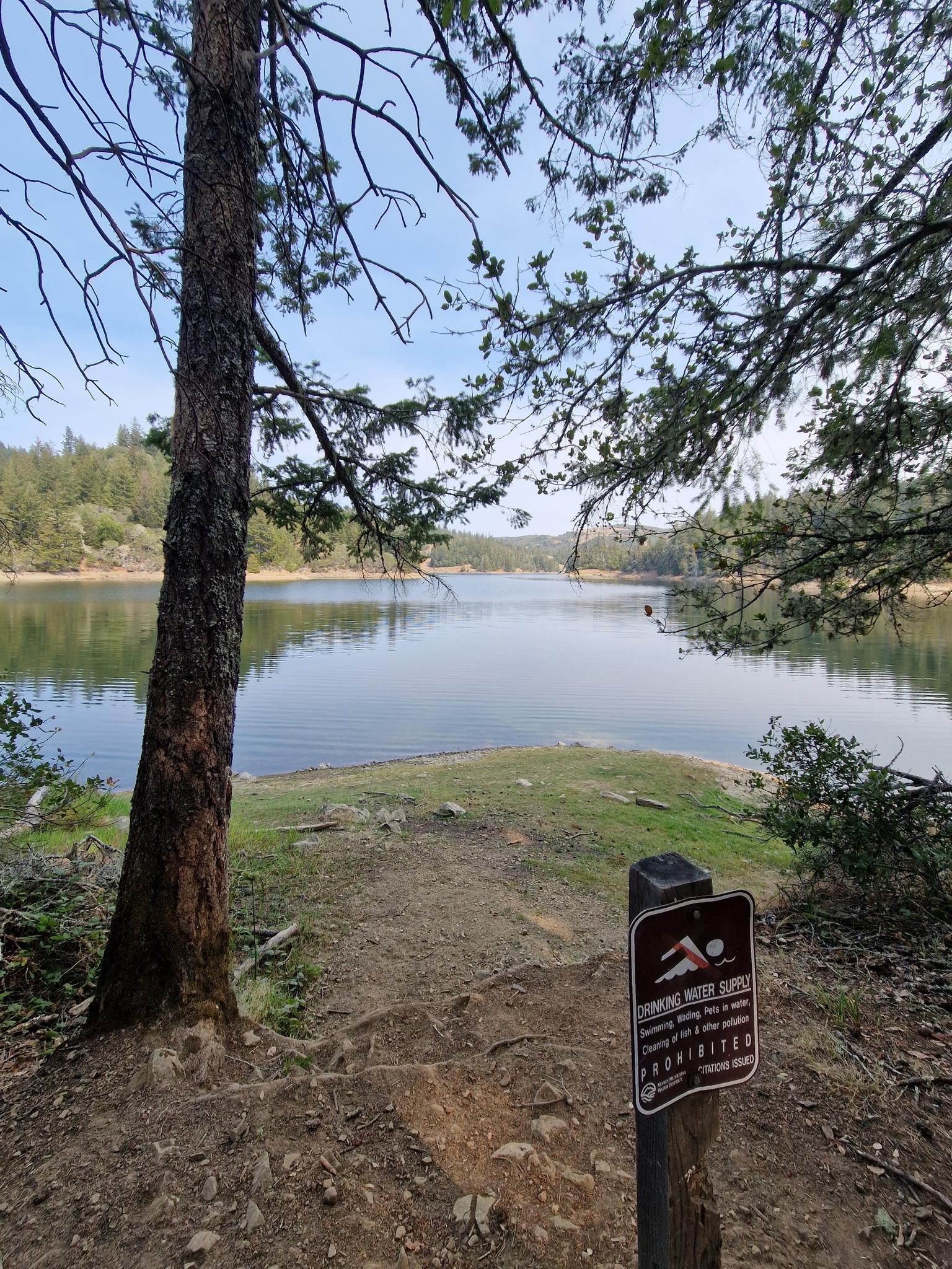 Calm lake viewed from a dirt path, framed by trees, under a bright sky.