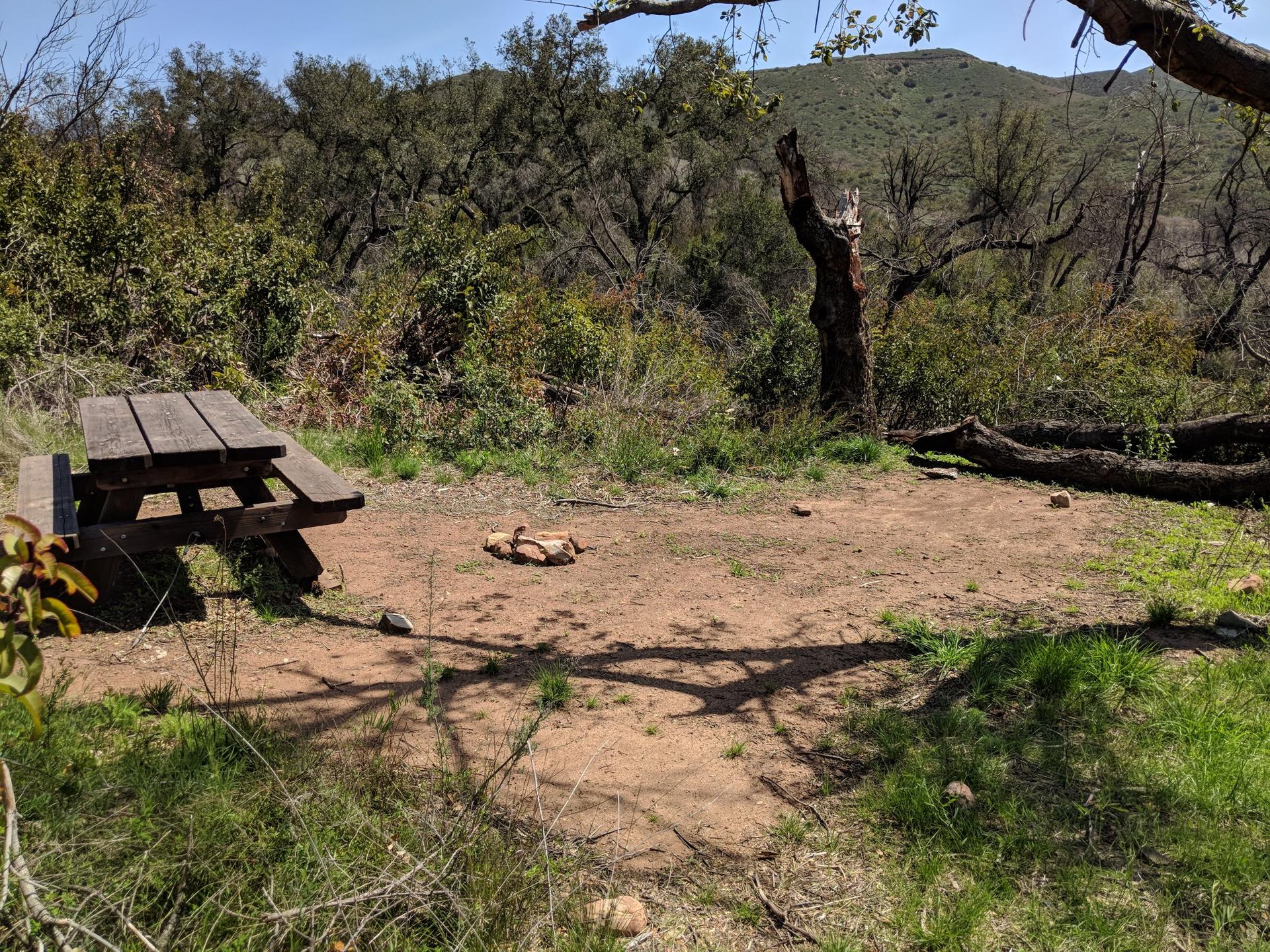 A wooden picnic table in a sunny, dry clearing surrounded by trees.