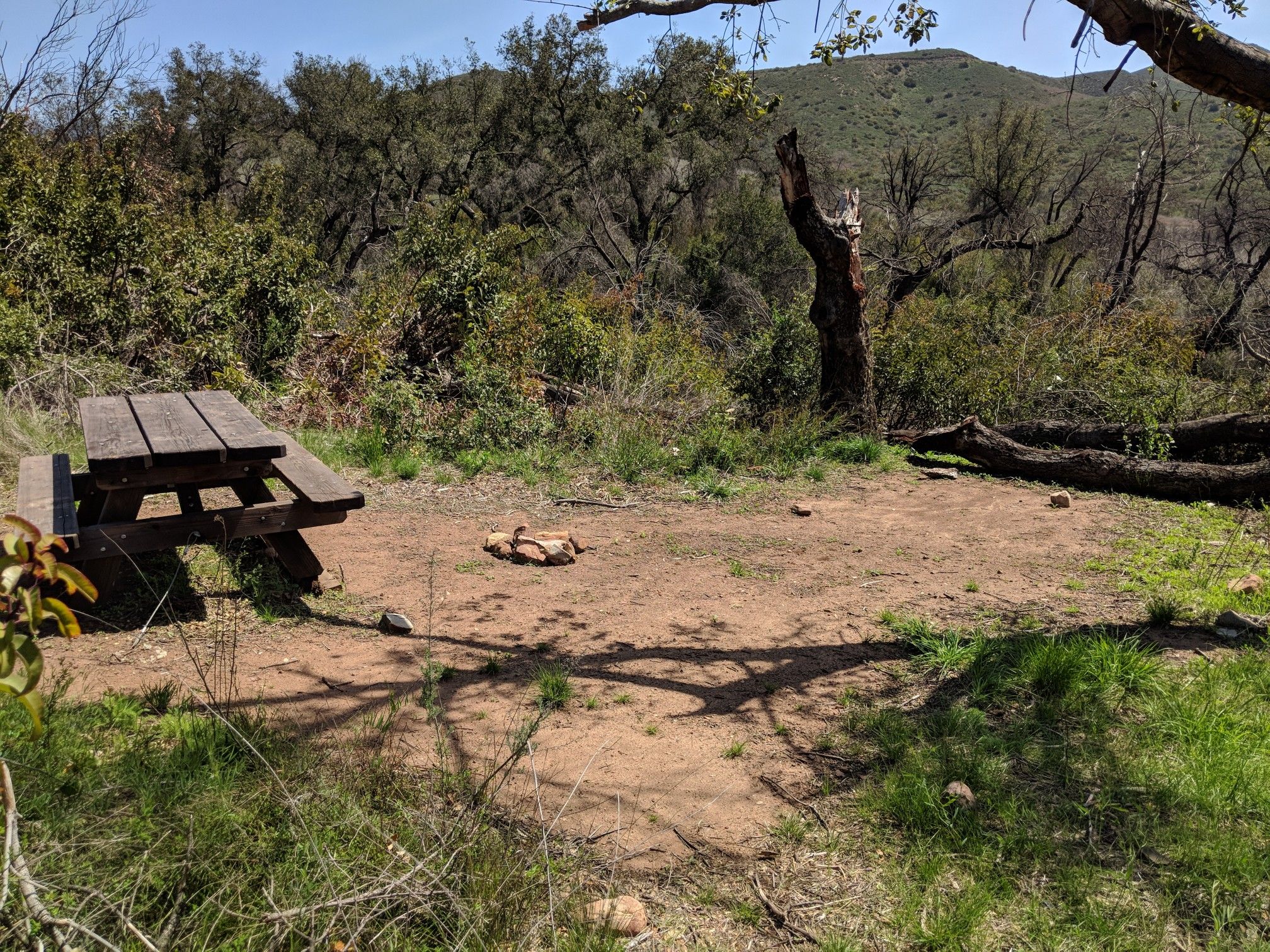 A wooden picnic table in a sunny, dry clearing surrounded by trees. - La Jolla Valley via Chumash Trail