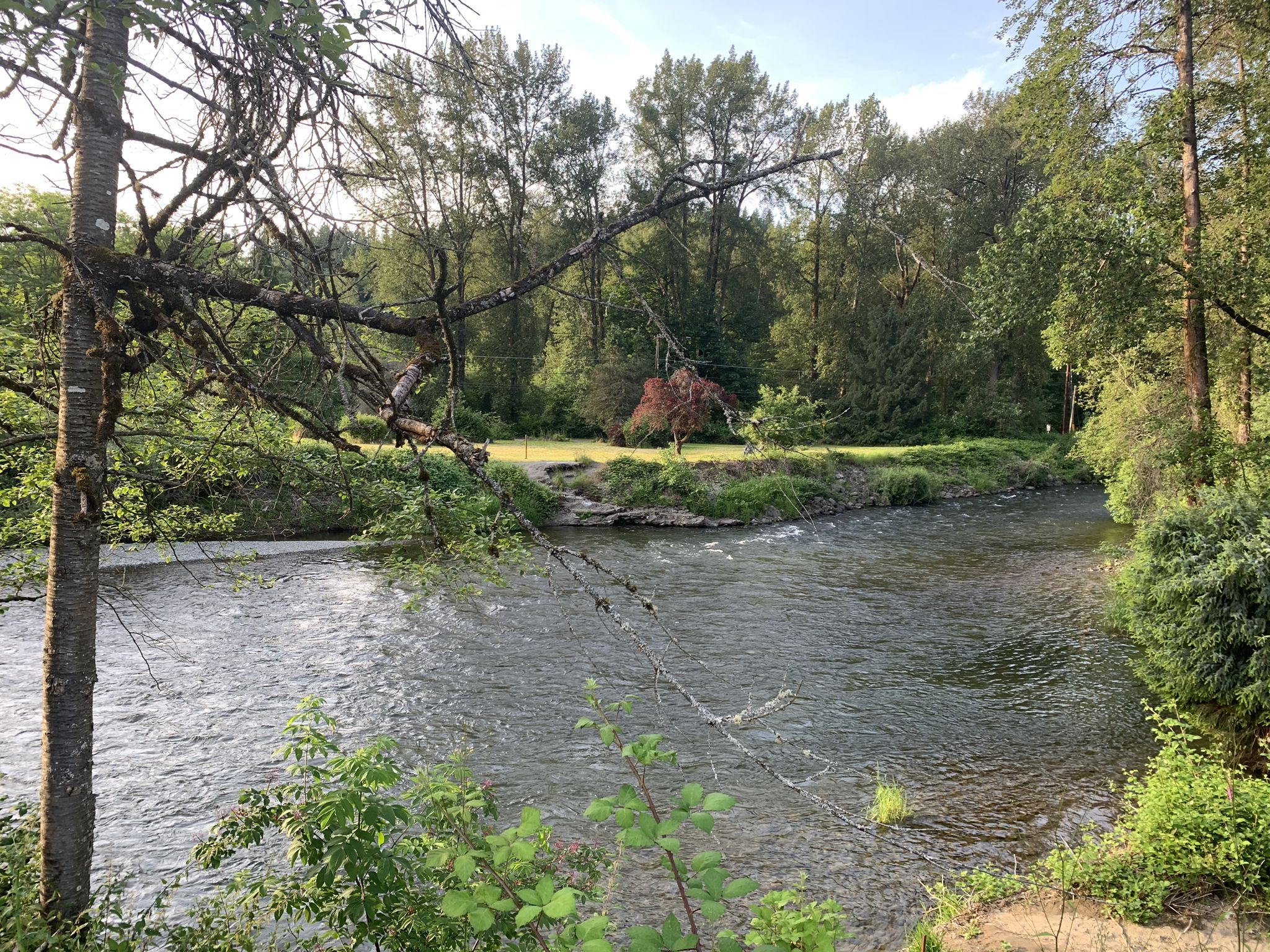 A wide river flows through a lush green, sunny landscape with trees. - Issaquah Mountain/Mercer Island loop