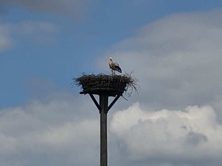 Storchennest im Westerwald – Wander- & Radrouten | Komoot