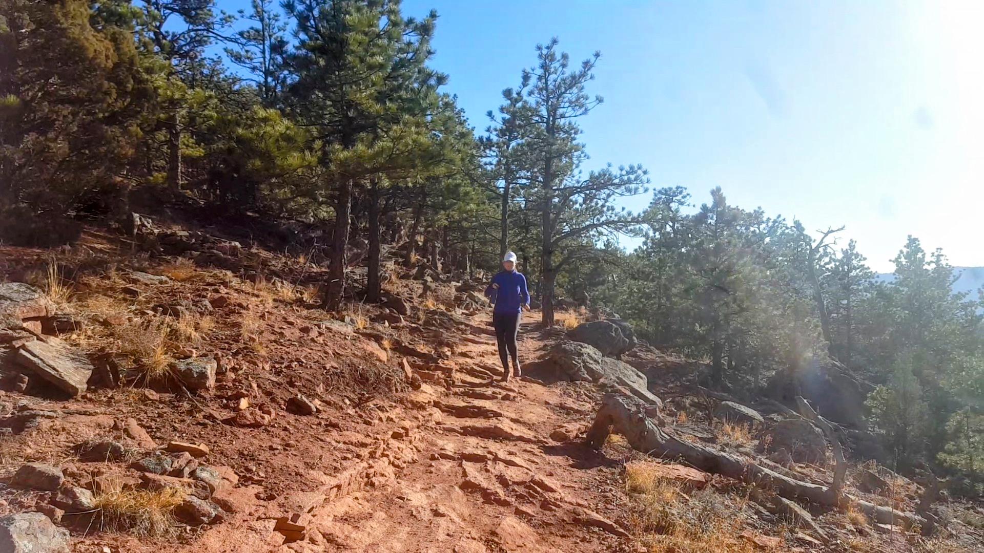 A hiker walks up a rocky dirt path through pine trees.