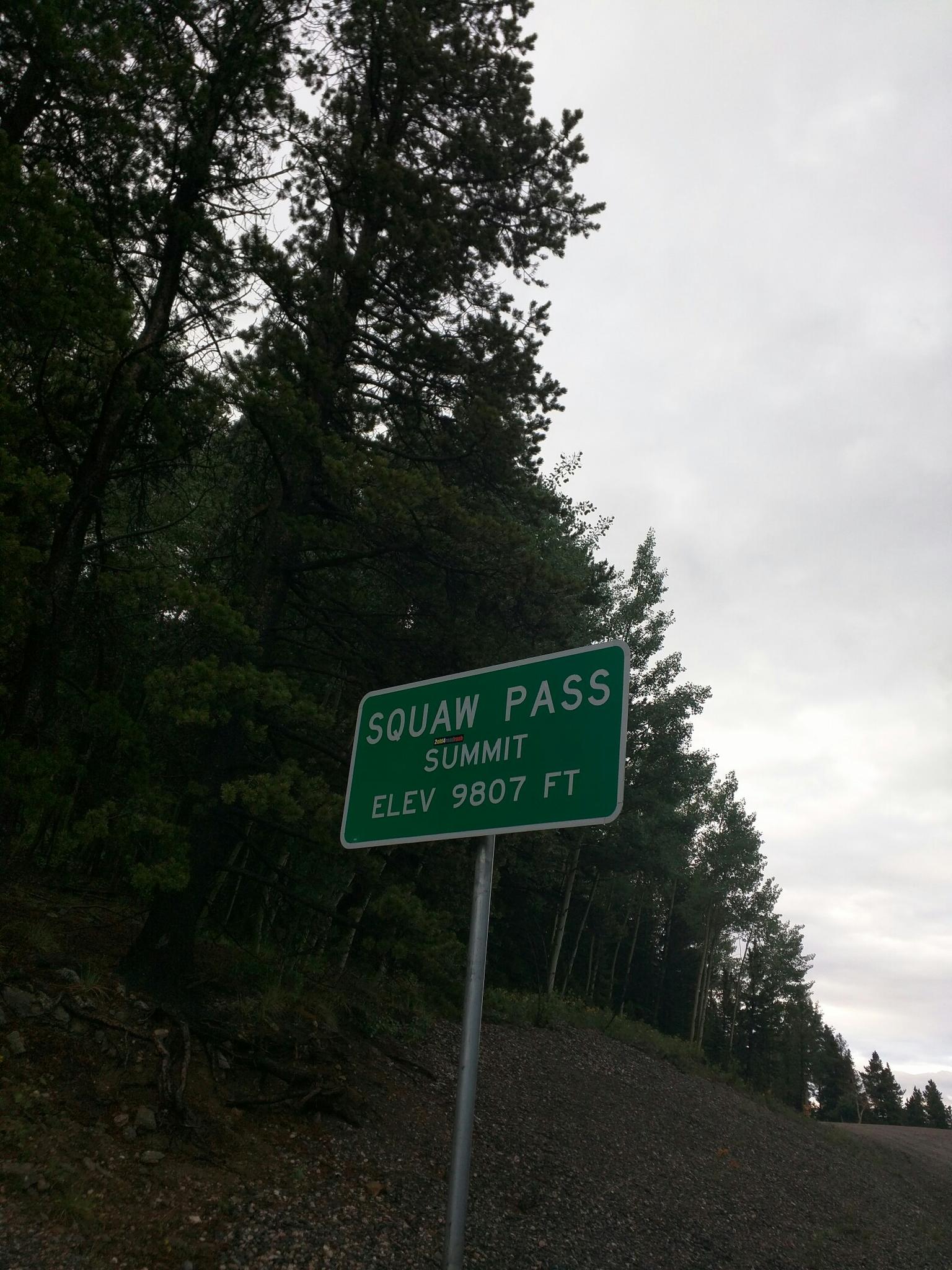 Green road sign for a mountain summit, surrounded by tall pine trees.