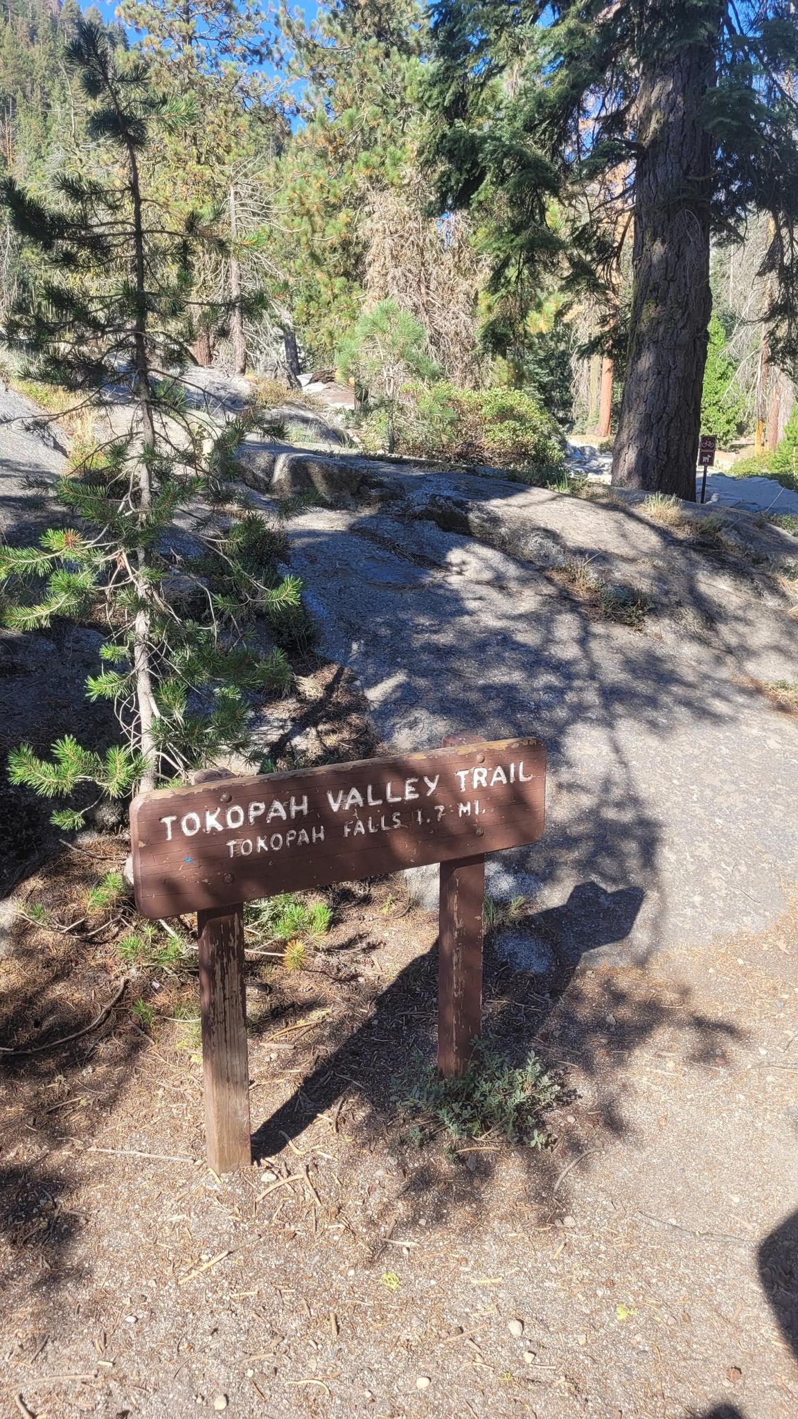 Wooden trail sign on a dirt path in a sunny forest.