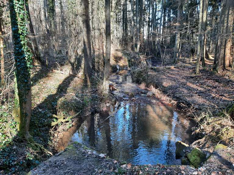 Krebsbach-Aue/Naturschutzgebiet: Wanderungen und Rundwege | komoot