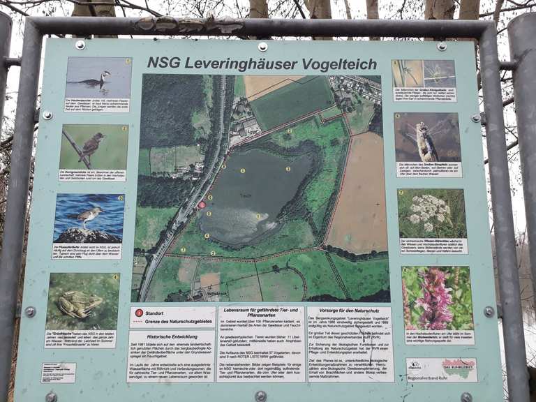 NSG Leveringhäuser Teich Radtouren und Radwege komoot
