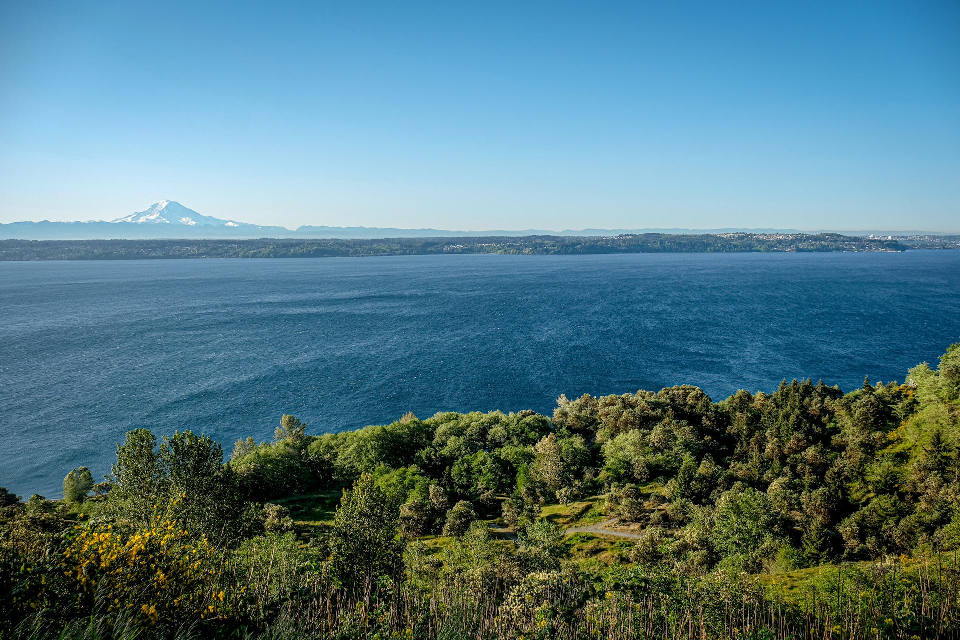 Vast blue water and green trees with a distant snow-capped mountain.