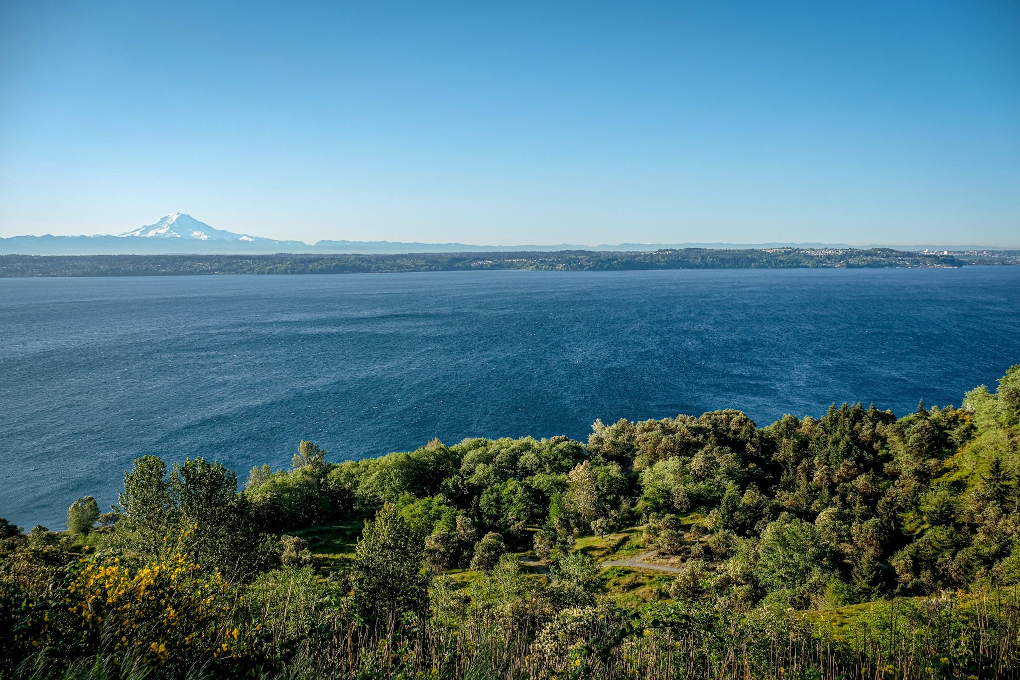 Vast blue water and green trees with a distant snow-capped mountain. - Vashon Island loop