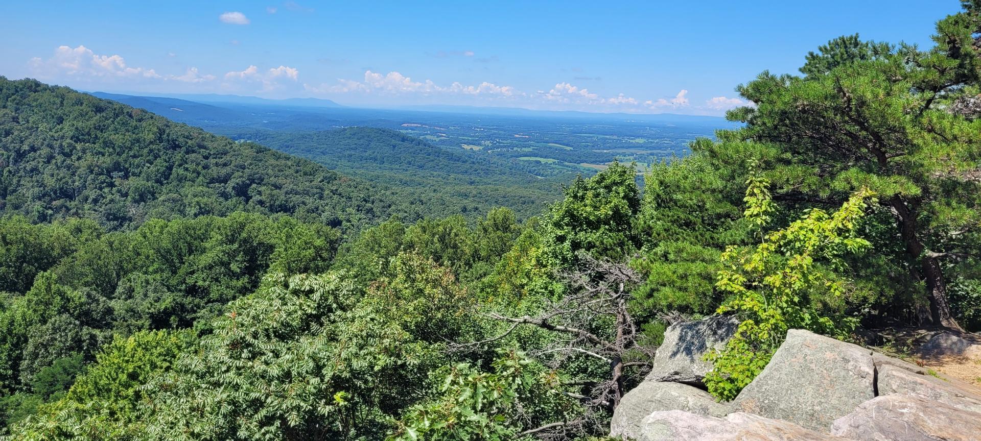 Sunny panoramic view of green forested mountains and a wide valley.