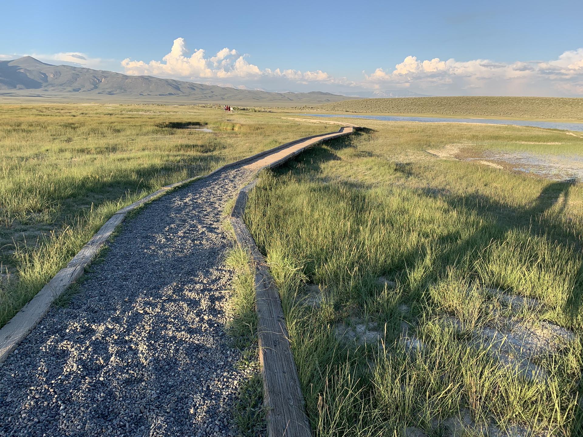 Gravel boardwalk path winding through a sunny, grassy wetland towards distant mountains.