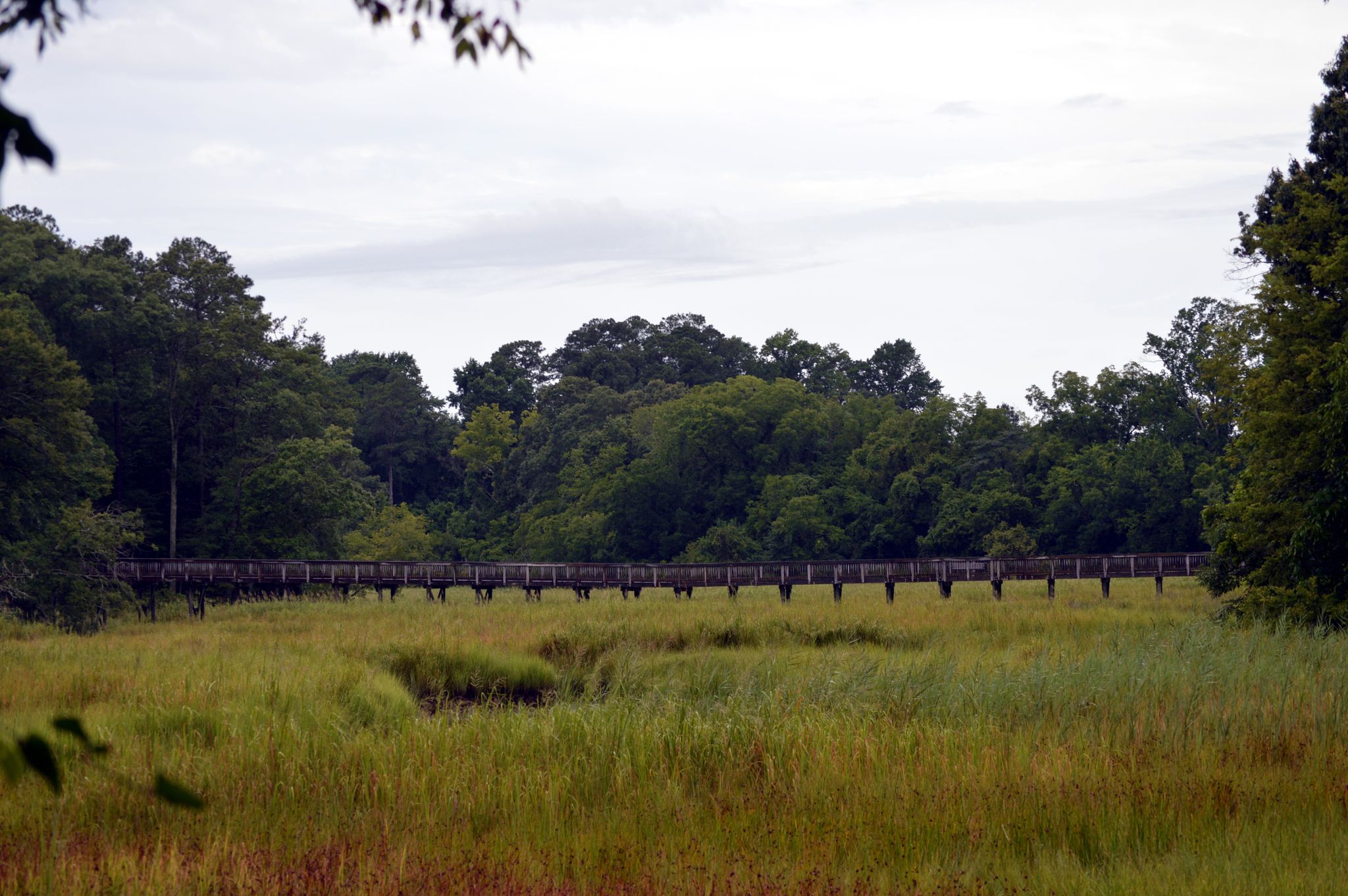 A long wooden boardwalk stretches across a green marsh under an overcast sky. - East Coast Greenway: Historic Coastal Route