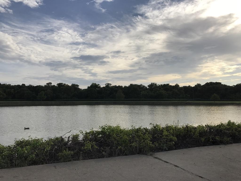 A wide lake with a duck, bordered by trees under a cloudy sky.
