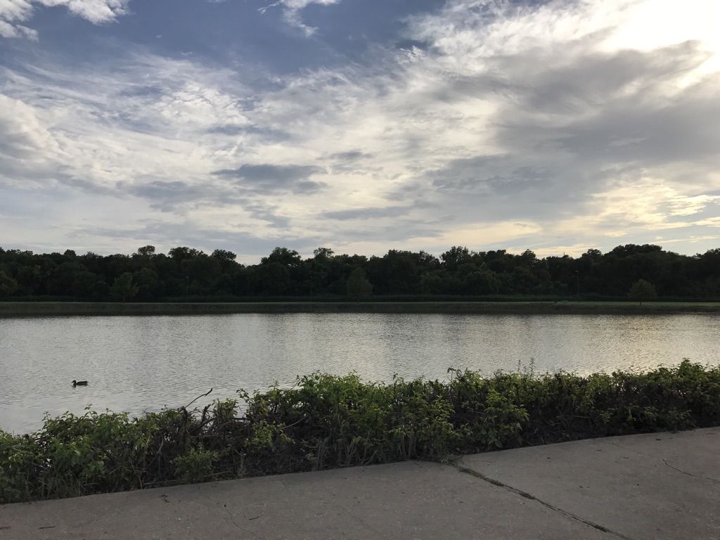 A wide lake with a duck, bordered by trees under a cloudy sky. - Bob Woodruff Park Trail