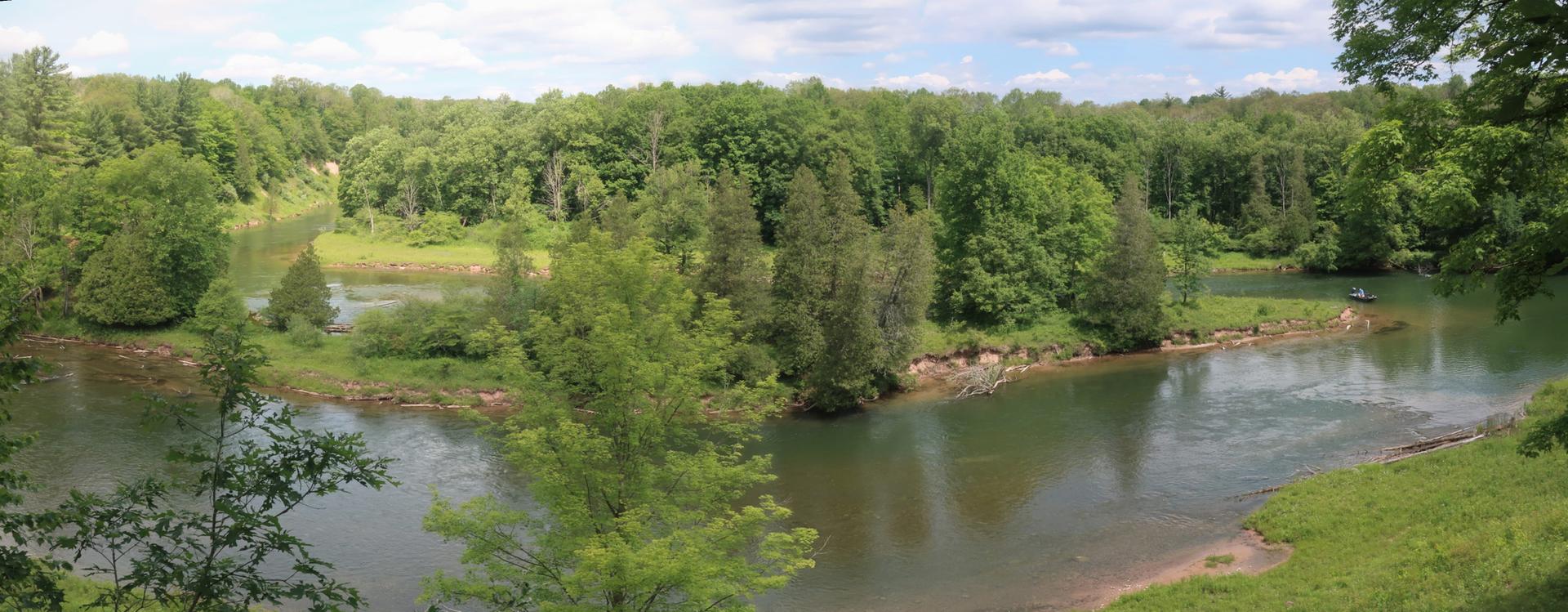 A winding river flows through a vibrant green forest under a bright sky.